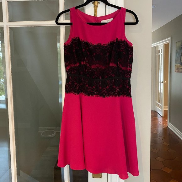 Ann Taylor LOFT Petites Hot Pink/Black Lace Dress - Picture 2 of 6
